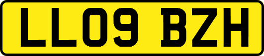 LL09BZH
