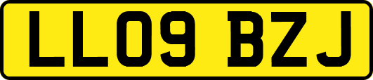 LL09BZJ