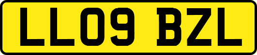 LL09BZL