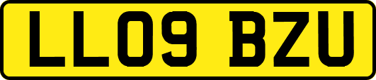 LL09BZU