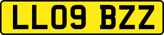 LL09BZZ