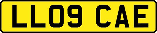 LL09CAE