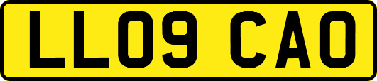 LL09CAO