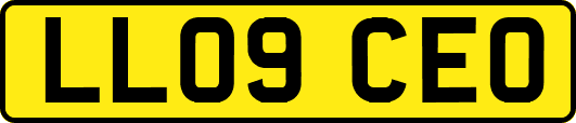 LL09CEO