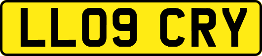 LL09CRY