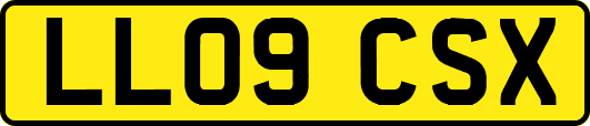 LL09CSX