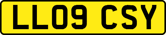 LL09CSY