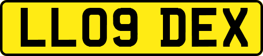 LL09DEX