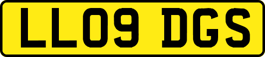 LL09DGS