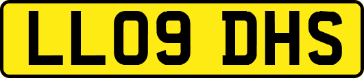 LL09DHS