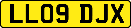 LL09DJX