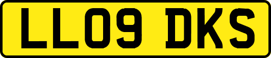 LL09DKS
