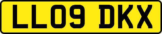 LL09DKX