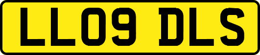 LL09DLS