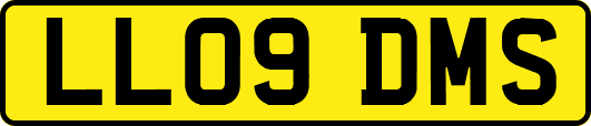 LL09DMS