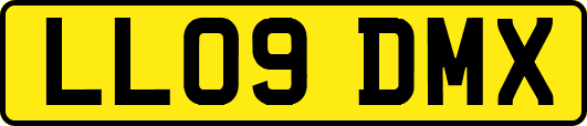 LL09DMX