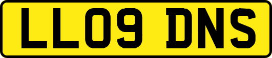 LL09DNS
