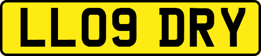 LL09DRY