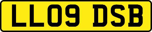 LL09DSB