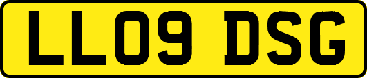 LL09DSG