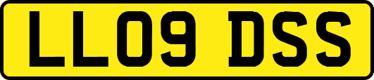 LL09DSS
