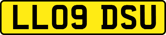LL09DSU