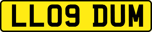 LL09DUM