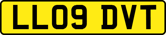 LL09DVT