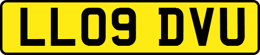 LL09DVU