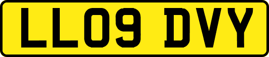 LL09DVY
