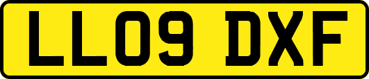 LL09DXF