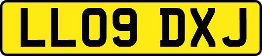 LL09DXJ