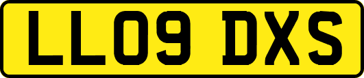 LL09DXS