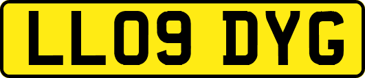 LL09DYG