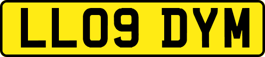 LL09DYM