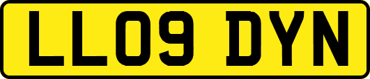LL09DYN