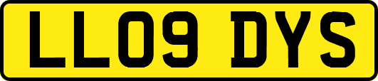 LL09DYS