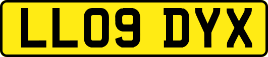 LL09DYX