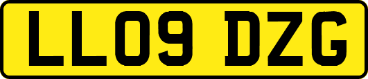 LL09DZG