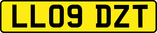 LL09DZT