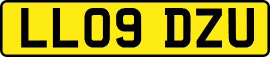 LL09DZU