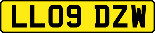 LL09DZW