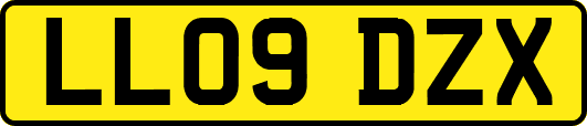 LL09DZX