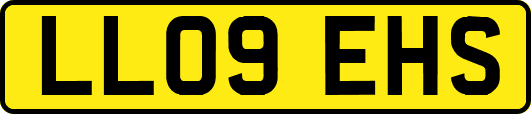 LL09EHS