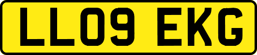 LL09EKG