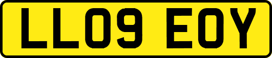 LL09EOY