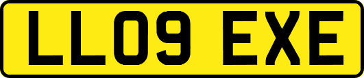 LL09EXE