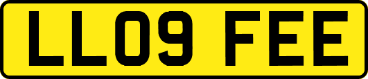 LL09FEE
