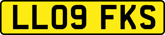 LL09FKS