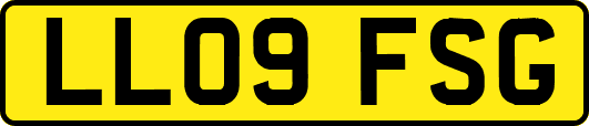LL09FSG